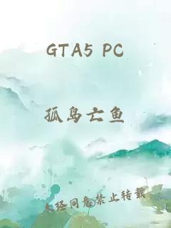 GTA5 PC